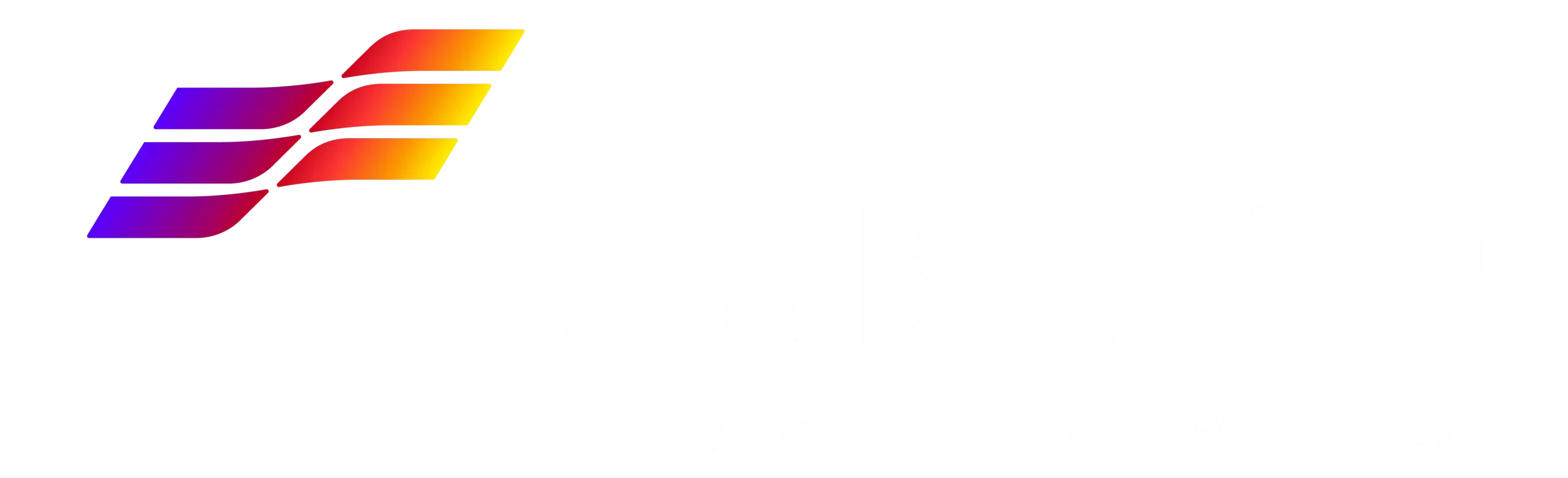 Digital Surfer Website