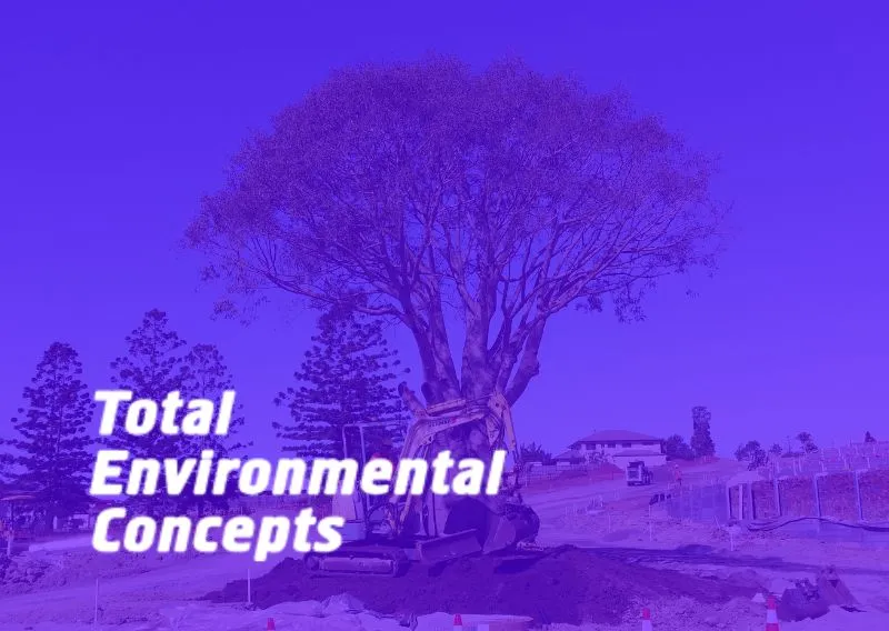 Total Environmental Concepts Marketing Case Study